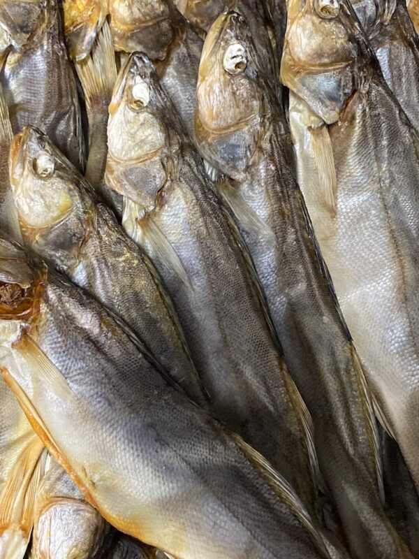 Salted & Dried Zander (Pike-Perch)